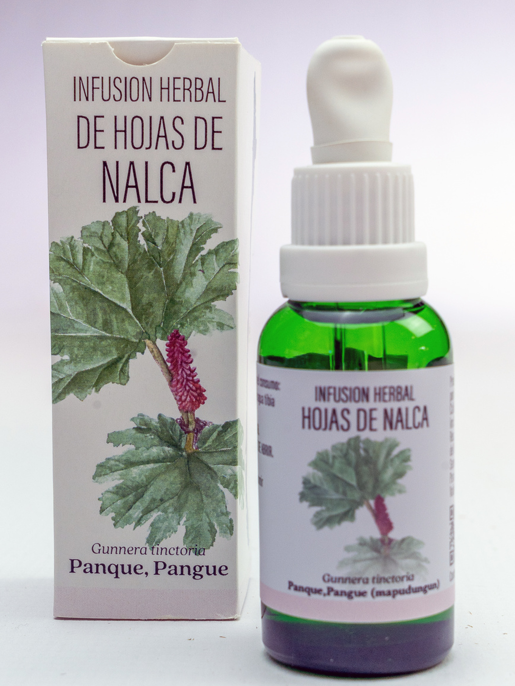 NALCA (Gunnera tinctoria)