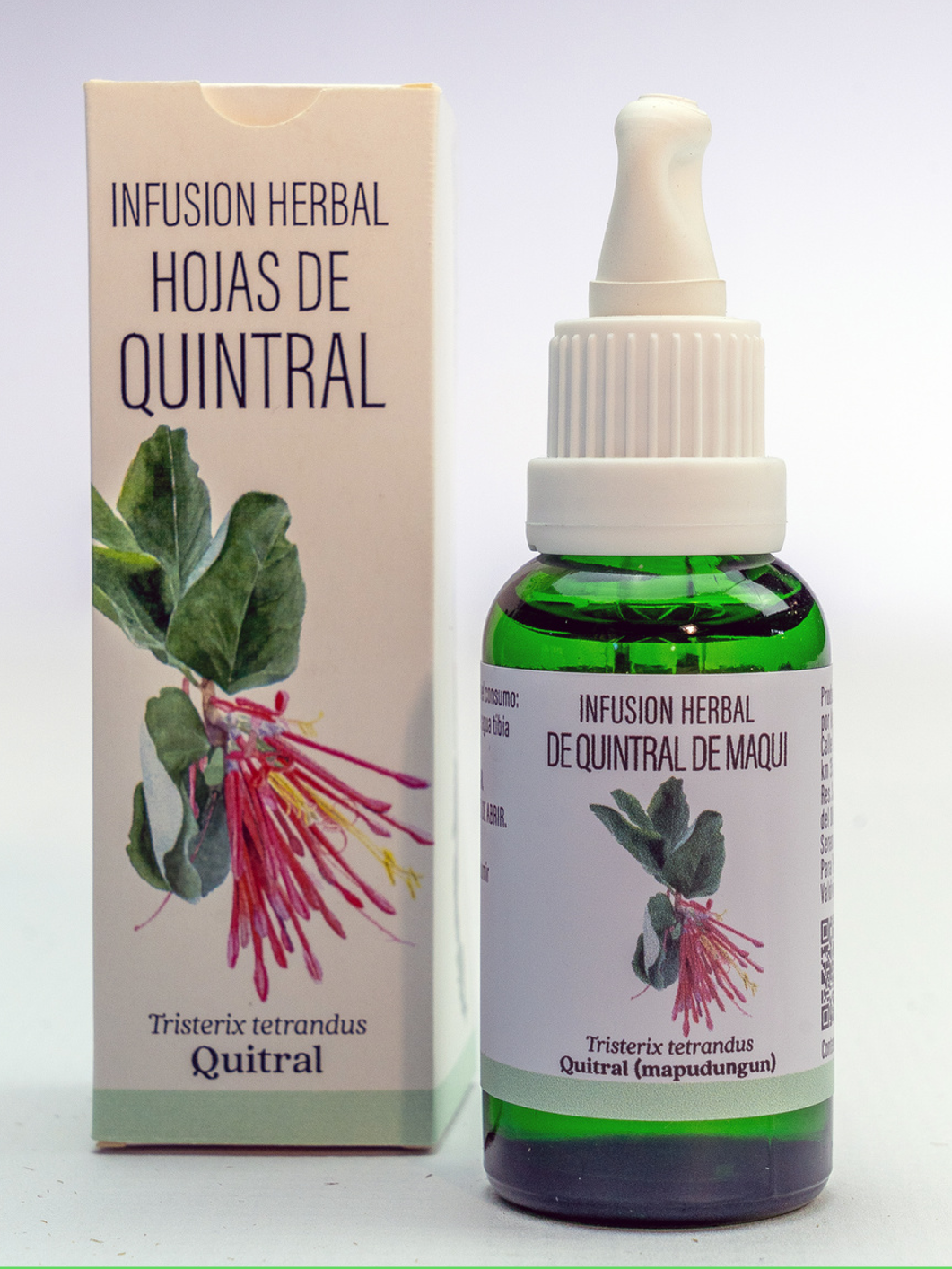 QUINTRAL (Tristerix tetrandrus)