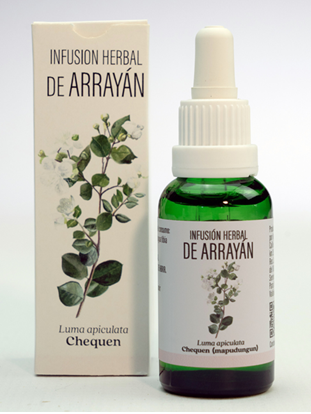 ARRAYÁN (Luma chequen)