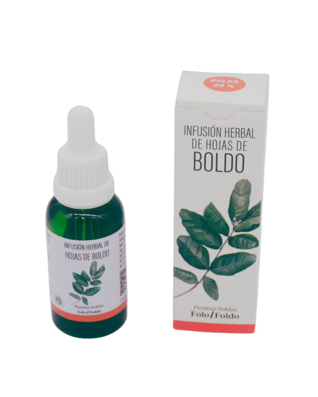 BOLDO (Peumus boldus)