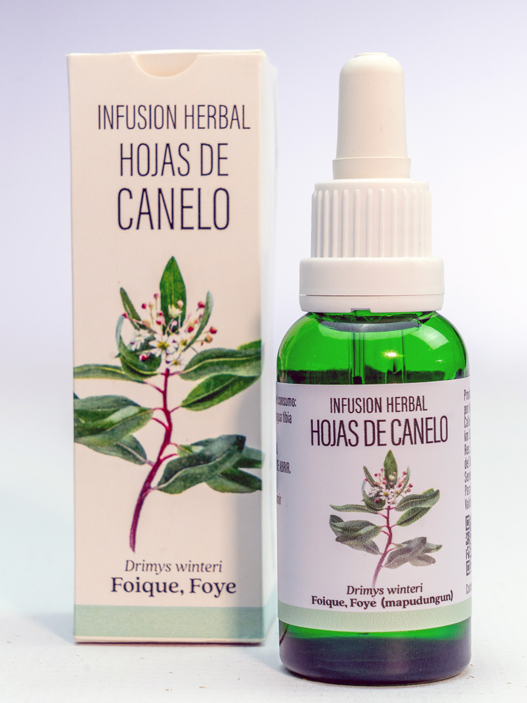 CANELO (Drimys winteri)