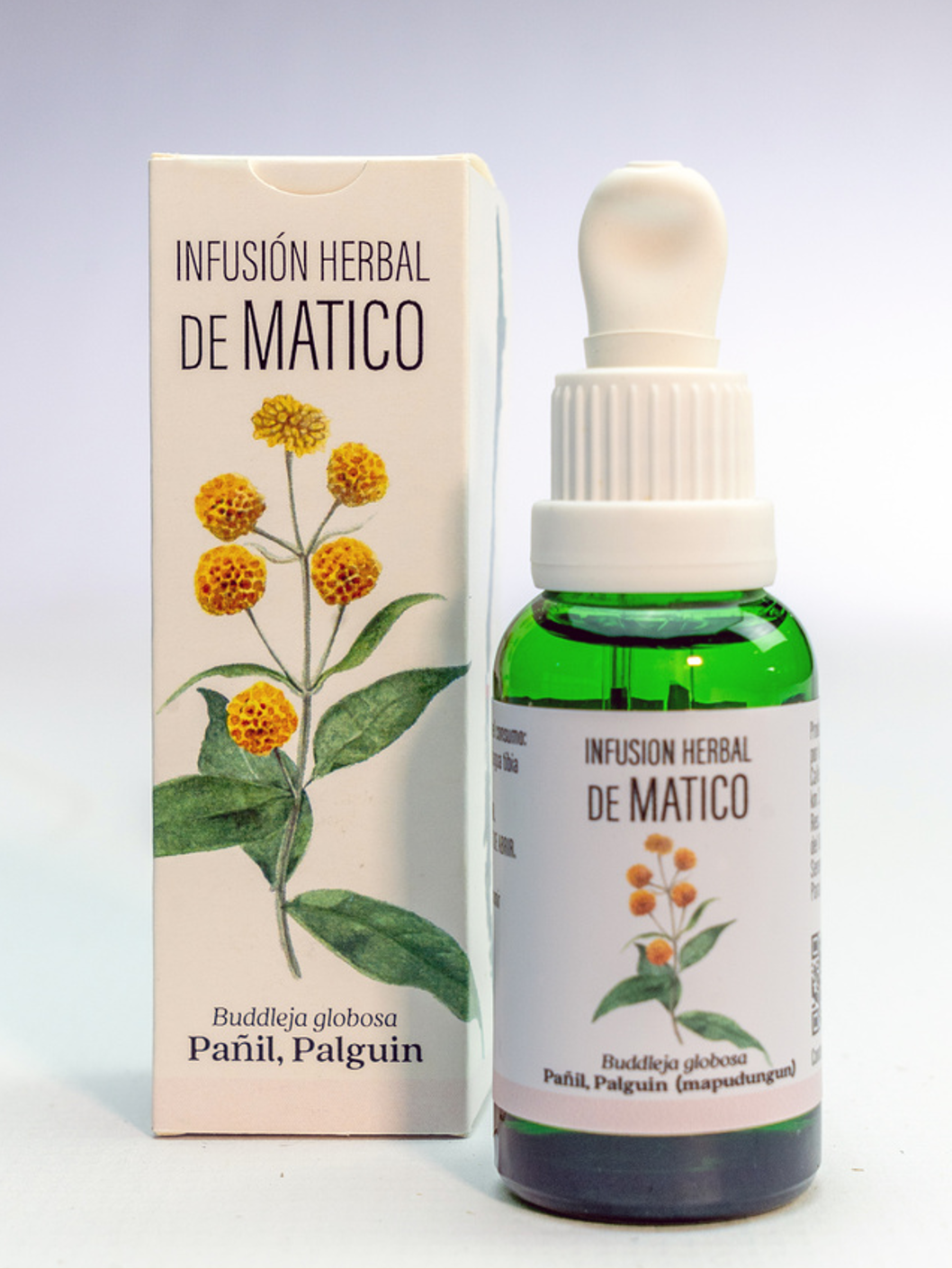 MATICO (Buddleja globosa)