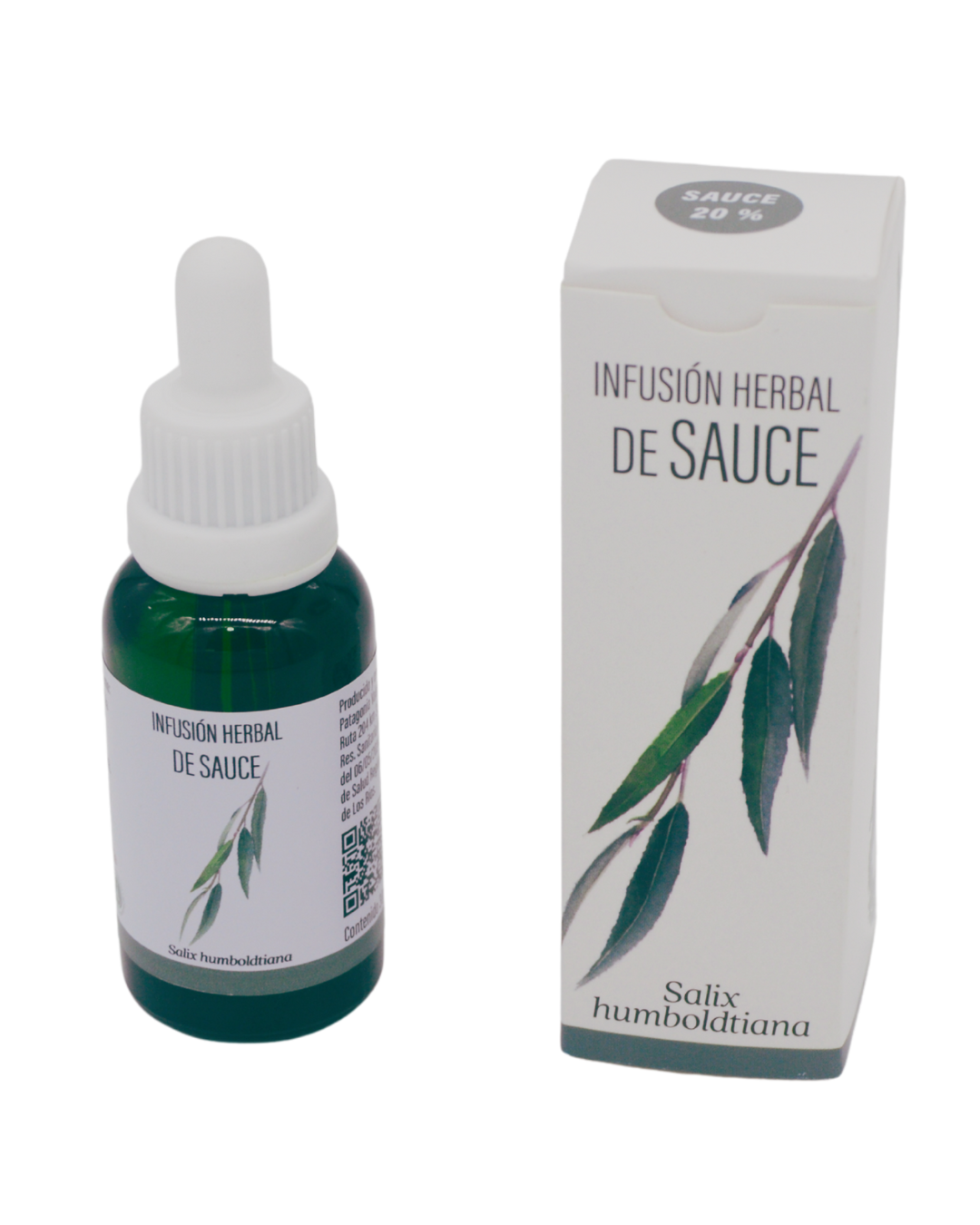 SAUCE (Salix humboldtiana)